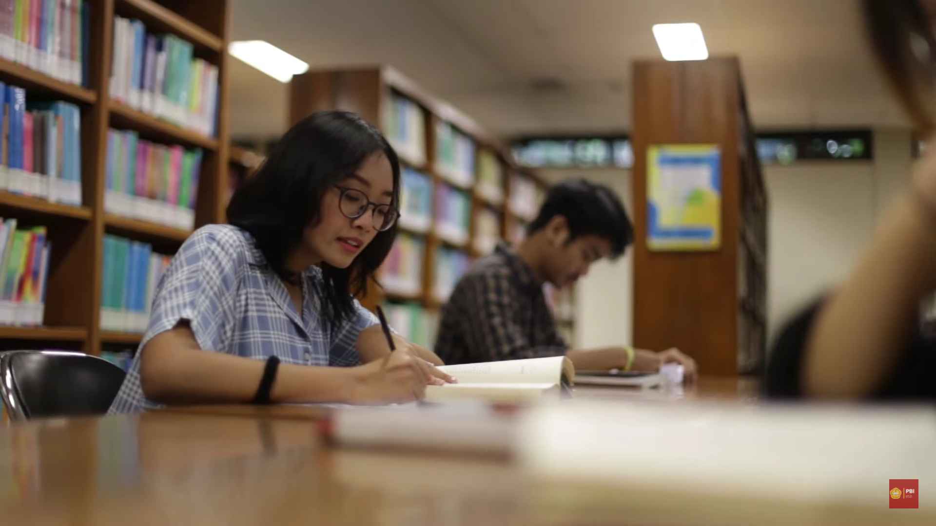 Use Case | BRIAPI
