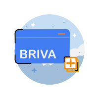Create VA Briva WS